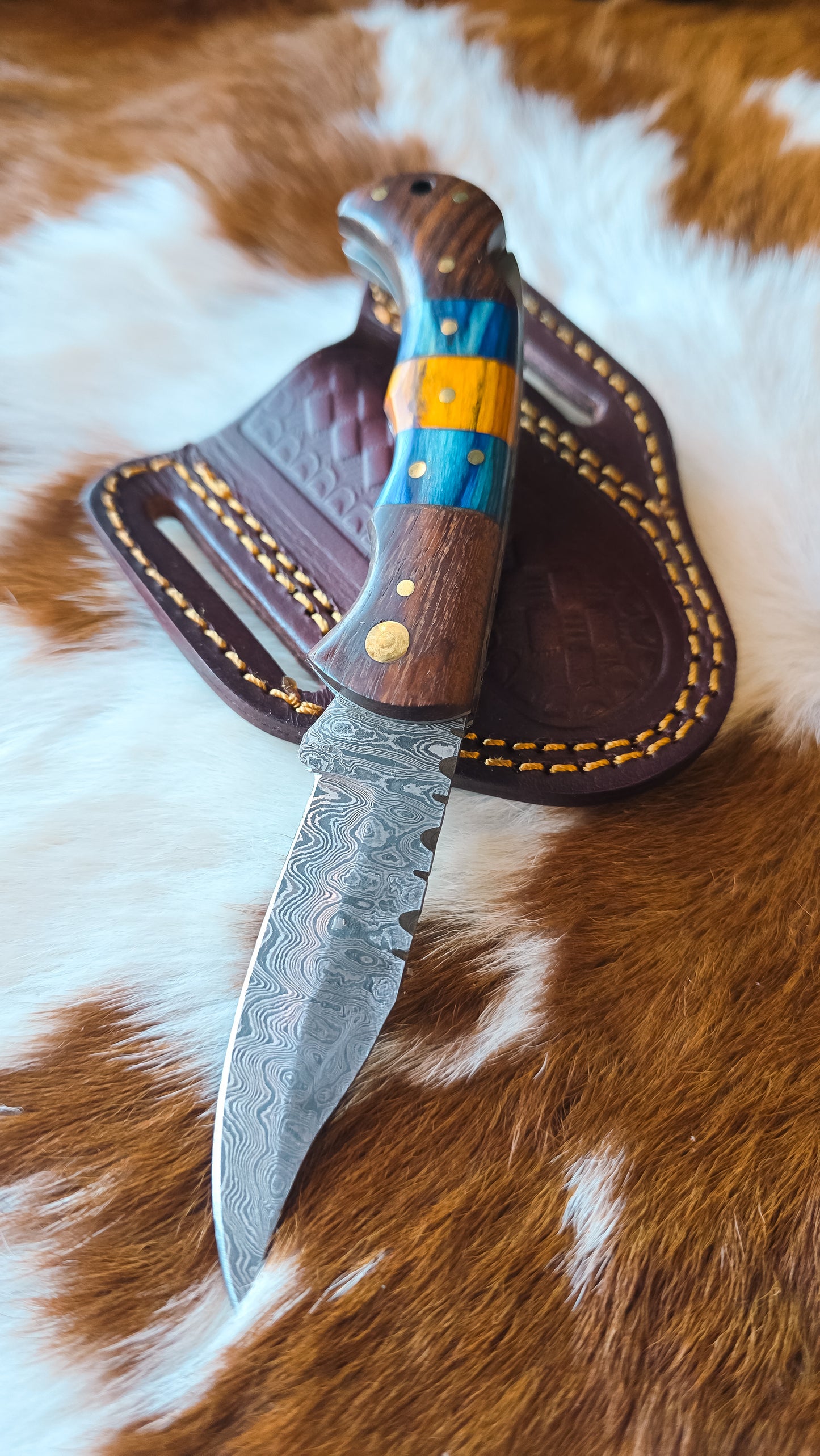 Black Diamond Pocket Knife- Orange & Blue