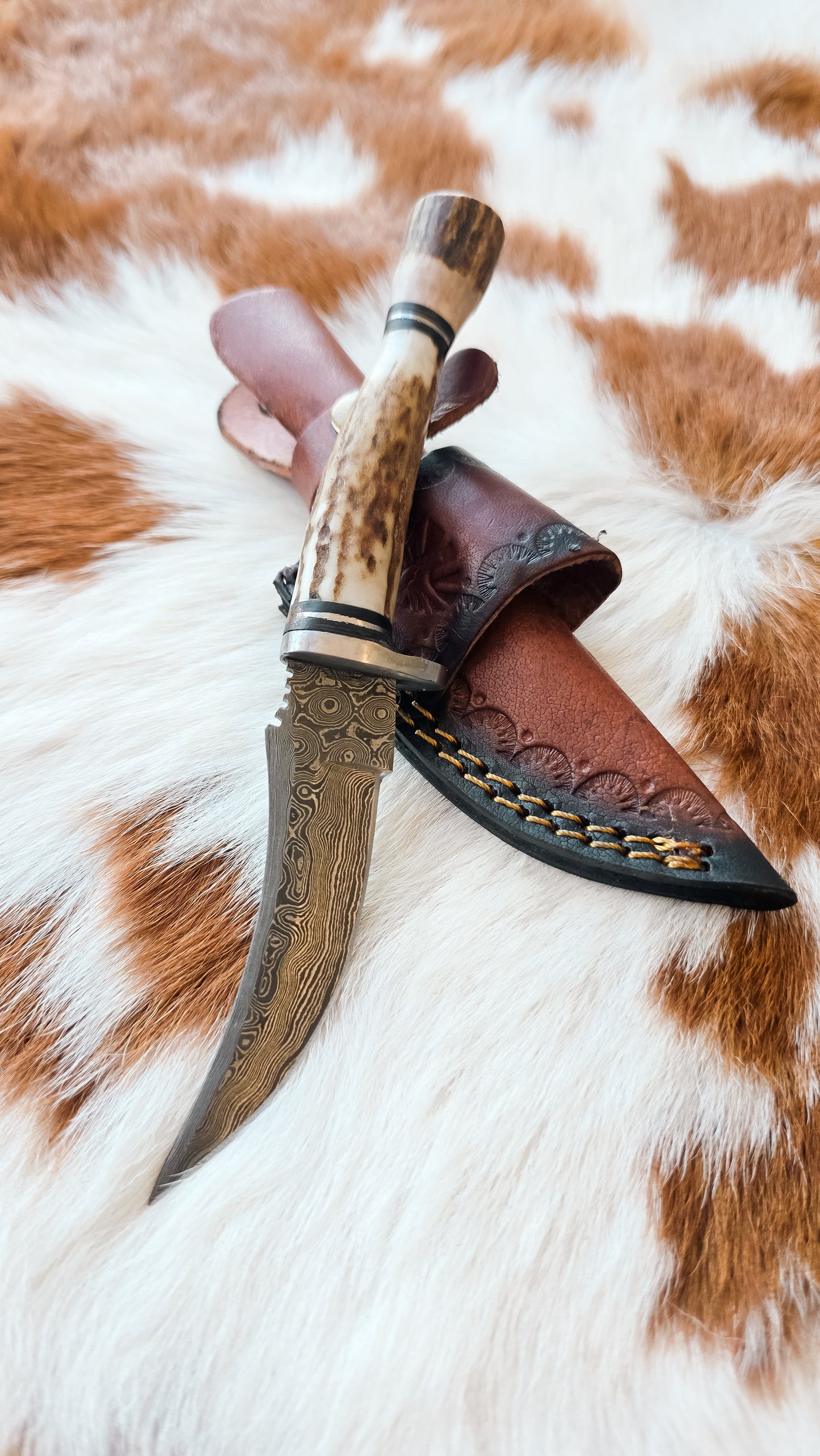 Stag Horn Knife