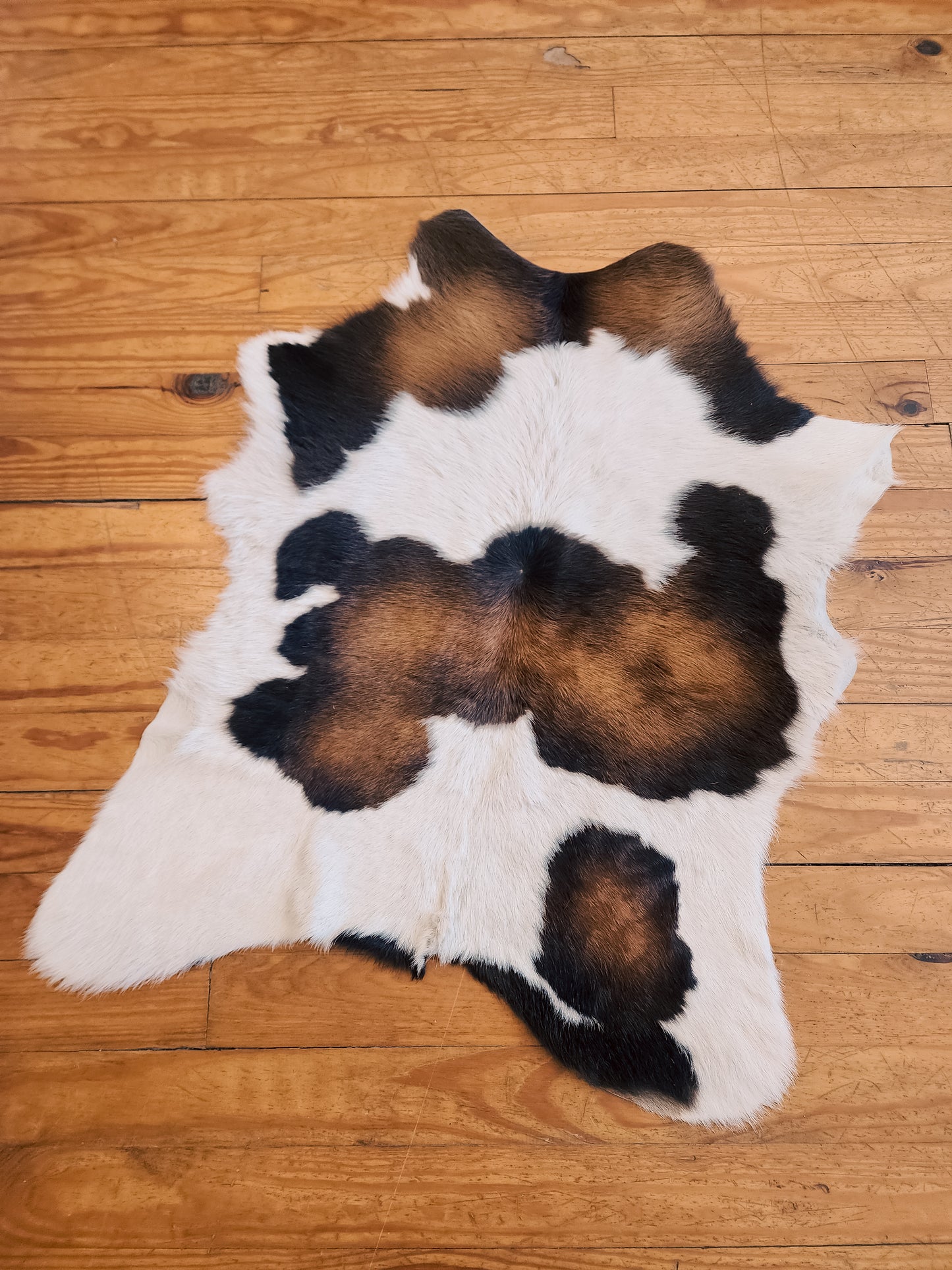 Calf Hides