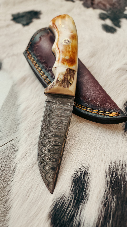 Burnt Bone & Walnut Hunting Knife