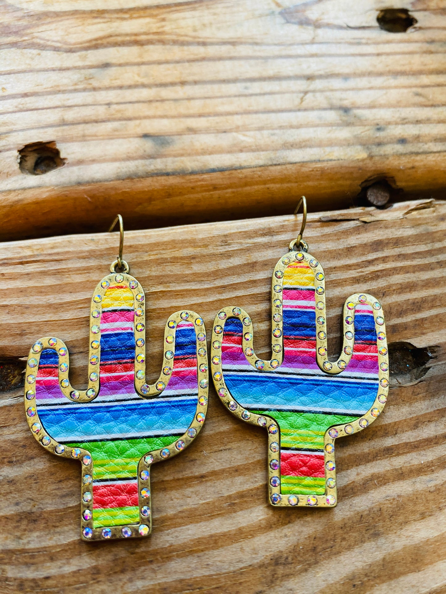Serape cactus earrings