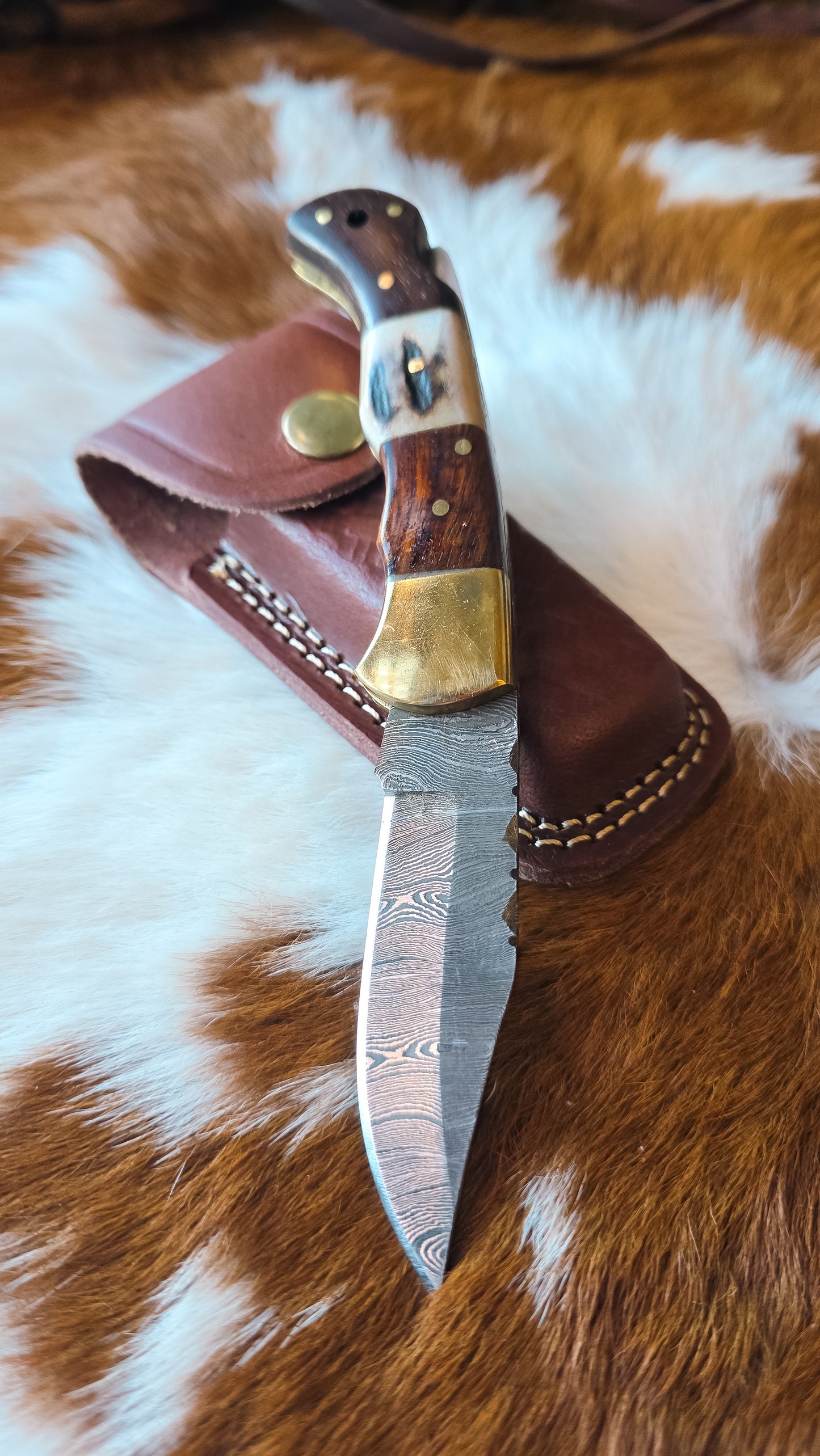Walnut Stag Pocket Knife