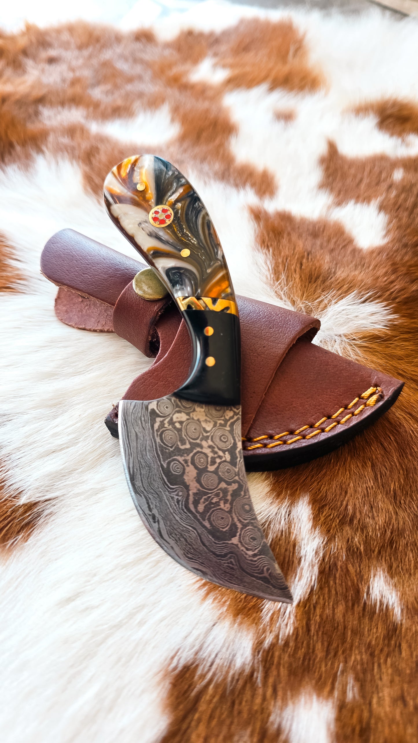 Curve Utility Knife